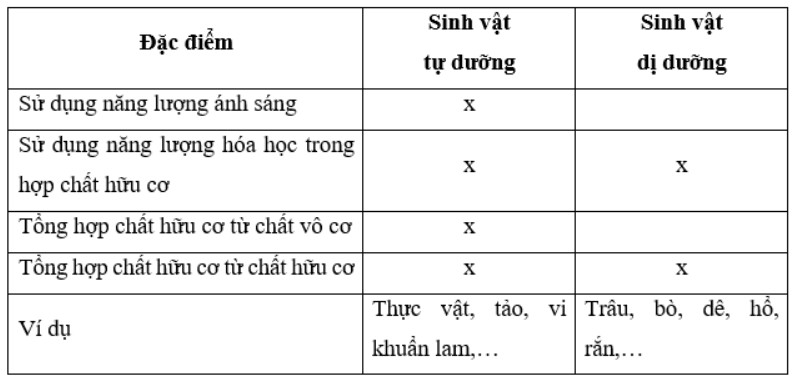 Giải Sinh học 11 Cánh diều Bài 1: Khái quát về trao đổi chất và chuyển hóa năng lượng