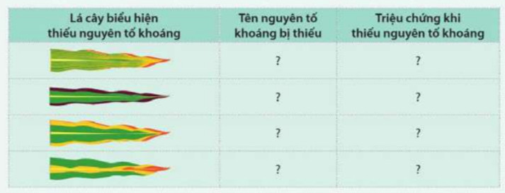 Giải Sinh học 11 Cánh diều Bài 2: Trao đổi nước và khoáng ở thực vật