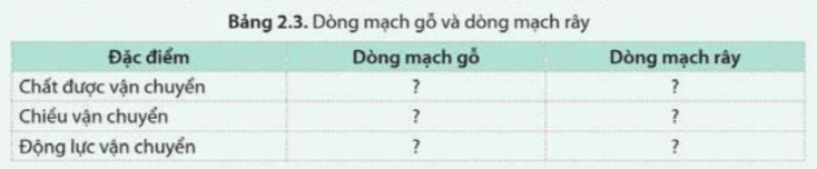 Giải Sinh học 11 Cánh diều Bài 2: Trao đổi nước và khoáng ở thực vật