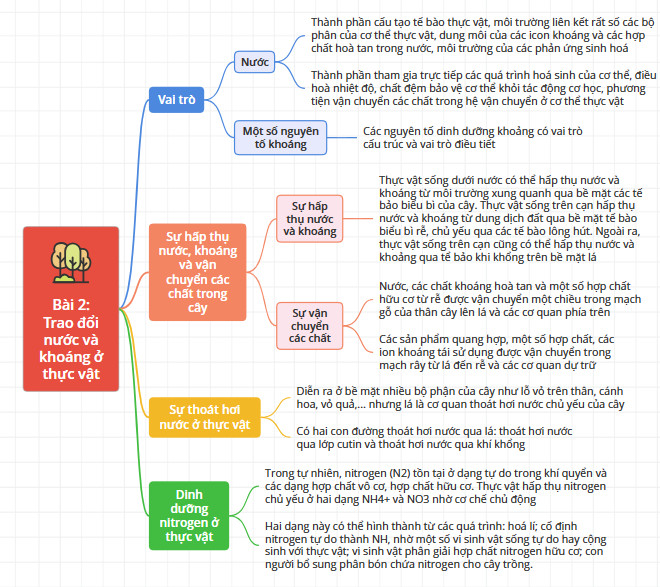 Sinh học 11 Cánh diều Bài 2: Trao đổi nước và khoáng ở thực vật (Giải, Sơ đồ tư duy, Trắc nghiệm)