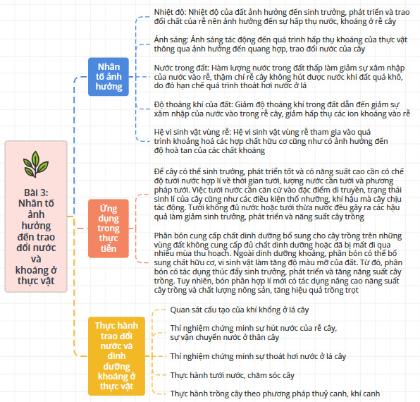 Sinh học 11 Cánh diều Bài 3: Nhân tố ảnh hưởng đến trao đổi nước và khoáng ở thực vật (Giải, Sơ đồ tư duy, Trắc nghiệm)