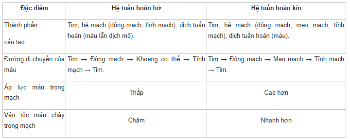 Giải Sinh học 11 Cánh diều Bài 8: Hệ tuần hoàn ở động vật