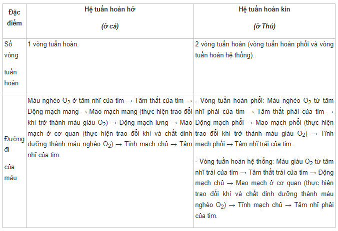 Giải Sinh học 11 Cánh diều Bài 8: Hệ tuần hoàn ở động vật