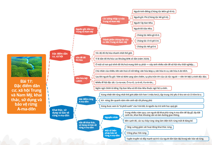 Địa lí 7 Kết nối tri thức Bài 17: Đặc điểm dân cư, xã hội Trung và Nam Mỹ (Giải, Sơ đồ tư duy, Trắc nghiệm)