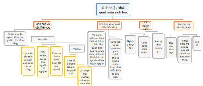 Sinh học 10 Kết nối tri thức Bài 1: Giới thiệu khái quát môn sinh học (Giải, Sơ đồ tư duy, Trắc nghiệm)