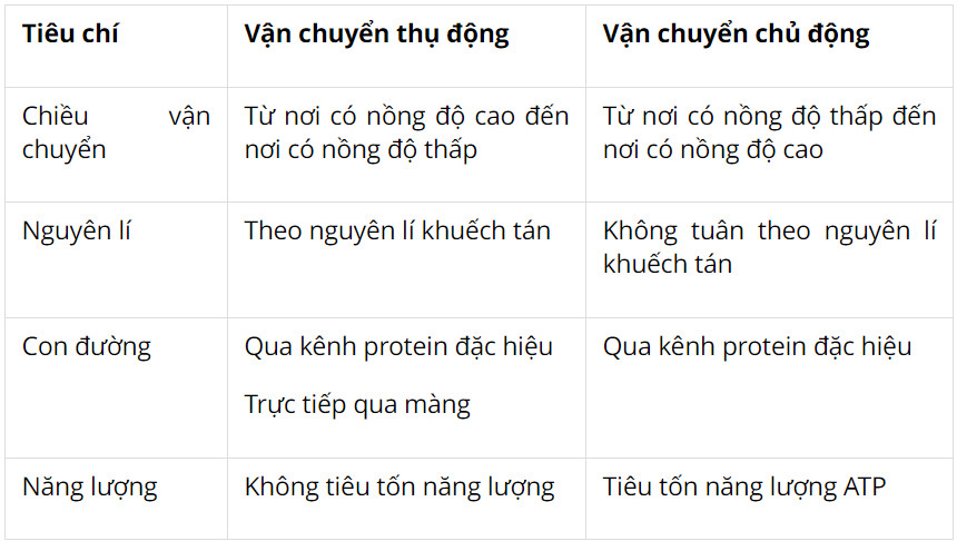 Sinh học 10 Kết nối tri thức Bài 10: Trao đổi chất qua màng tế bào (Giải, Sơ đồ tư duy, Trắc nghiệm)