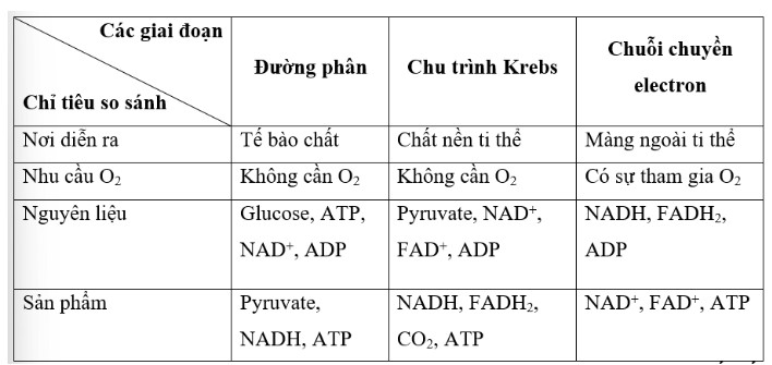 Sinh học 10 Kết nối tri thức Bài 14: Phân giải và tổng hợp các chất trong tế bào (Giải, Sơ đồ tư duy, Trắc nghiệm)