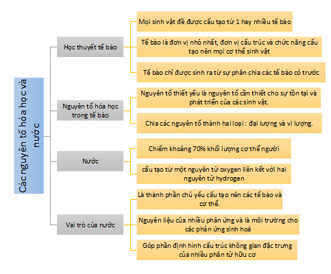 Sinh học 10 Kết nối tri thức Bài 4: Các nguyên tố hóa học và nước (Giải, Sơ đồ tư duy, Trắc nghiệm)