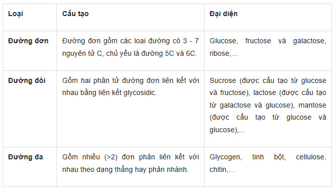 Sinh học 10 Kết nối tri thức Bài 5: Các phân tử sinh học (Giải, Sơ đồ tư duy, Trắc nghiệm)