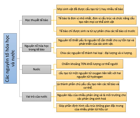 Sinh học 10 Kết nối tri thức Bài 5: Các phân tử sinh học (Giải, Sơ đồ tư duy, Trắc nghiệm)