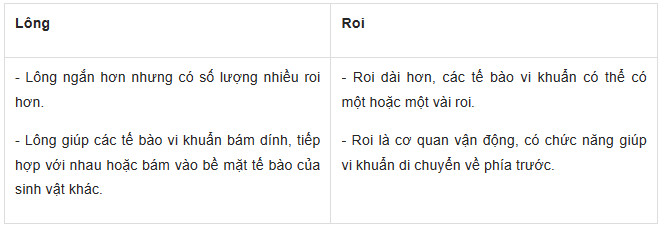 Sinh học 10 (Kết nối tri thức) Bài 7: Tế bào nhân sơ (Giải, Sơ đồ tư duy, Trắc nghiệm)