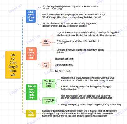 Sinh học 11 Cánh diều Bài 12: Cảm ứng ở thực vật (Giải, Sơ đồ tư duy, Trắc nghiệm)