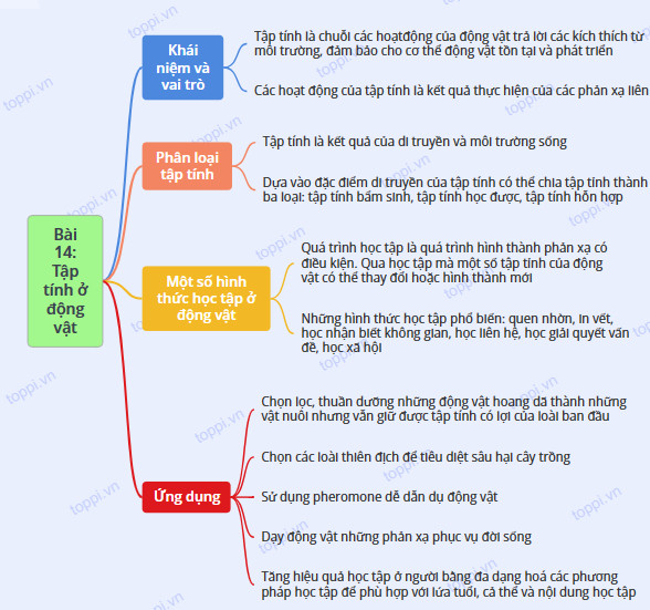 Sinh học 11 Cánh diều Bài 14: Tập tính ở động vật (Giải, Sơ đồ tư duy, Trắc nghiệm)