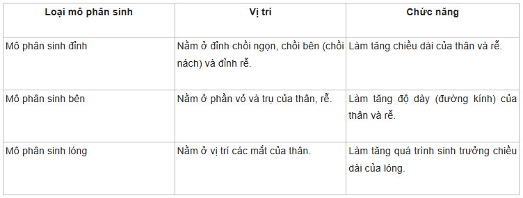 Sinh học 11 Cánh diều Bài 16: Sinh trưởng và phát triển ở thực vật (Giải, Sơ đồ tư duy, Trắc nghiệm)