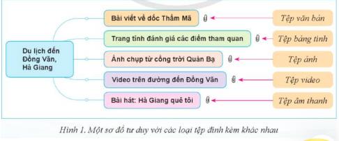 Hoạt động trang 31 Tin học 9